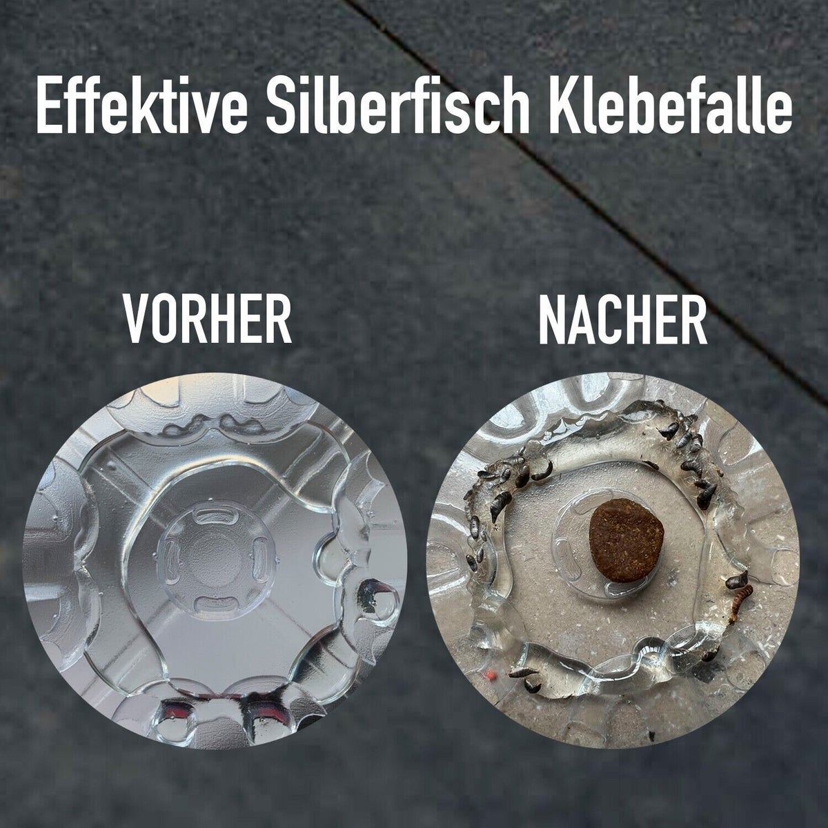Zilvervisjesval