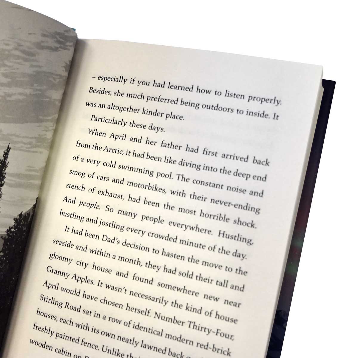 Finding Bear (Hardback)