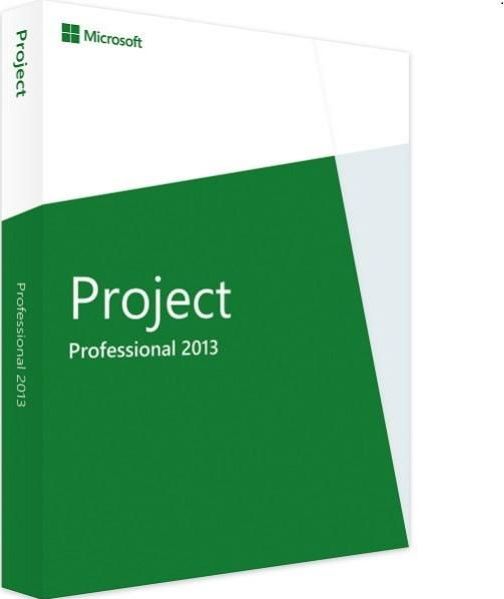 Microsoft Project 2013 Professional