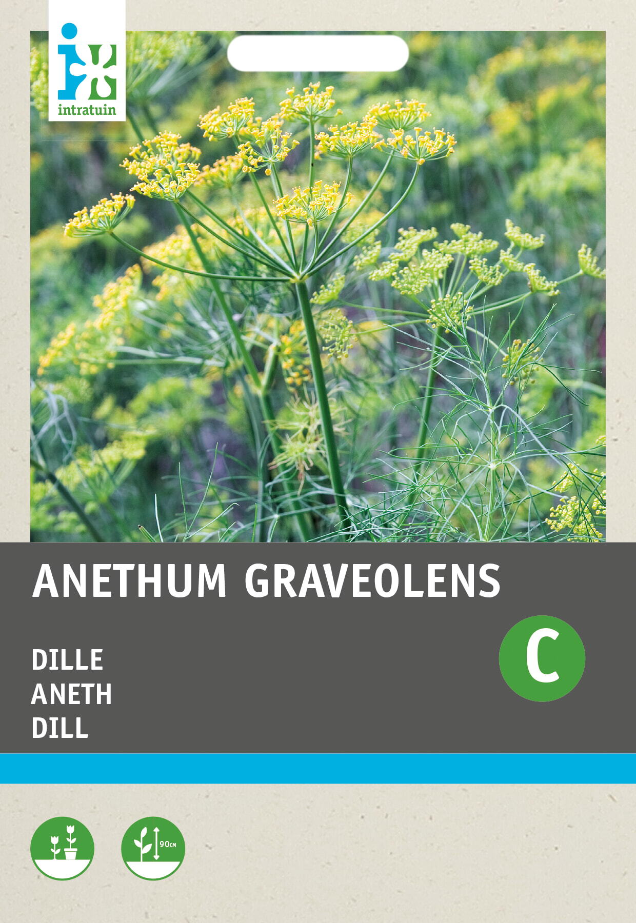 Intratuin kruidenzaad Dille (Anethum graveolens)