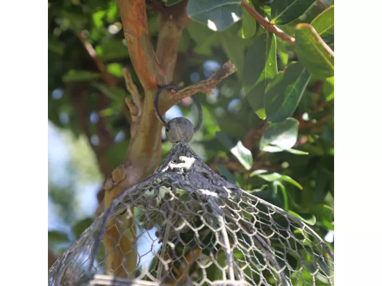Cage à oiseaux décorative ancienne grillagée métal gris 20x15.5x39cm