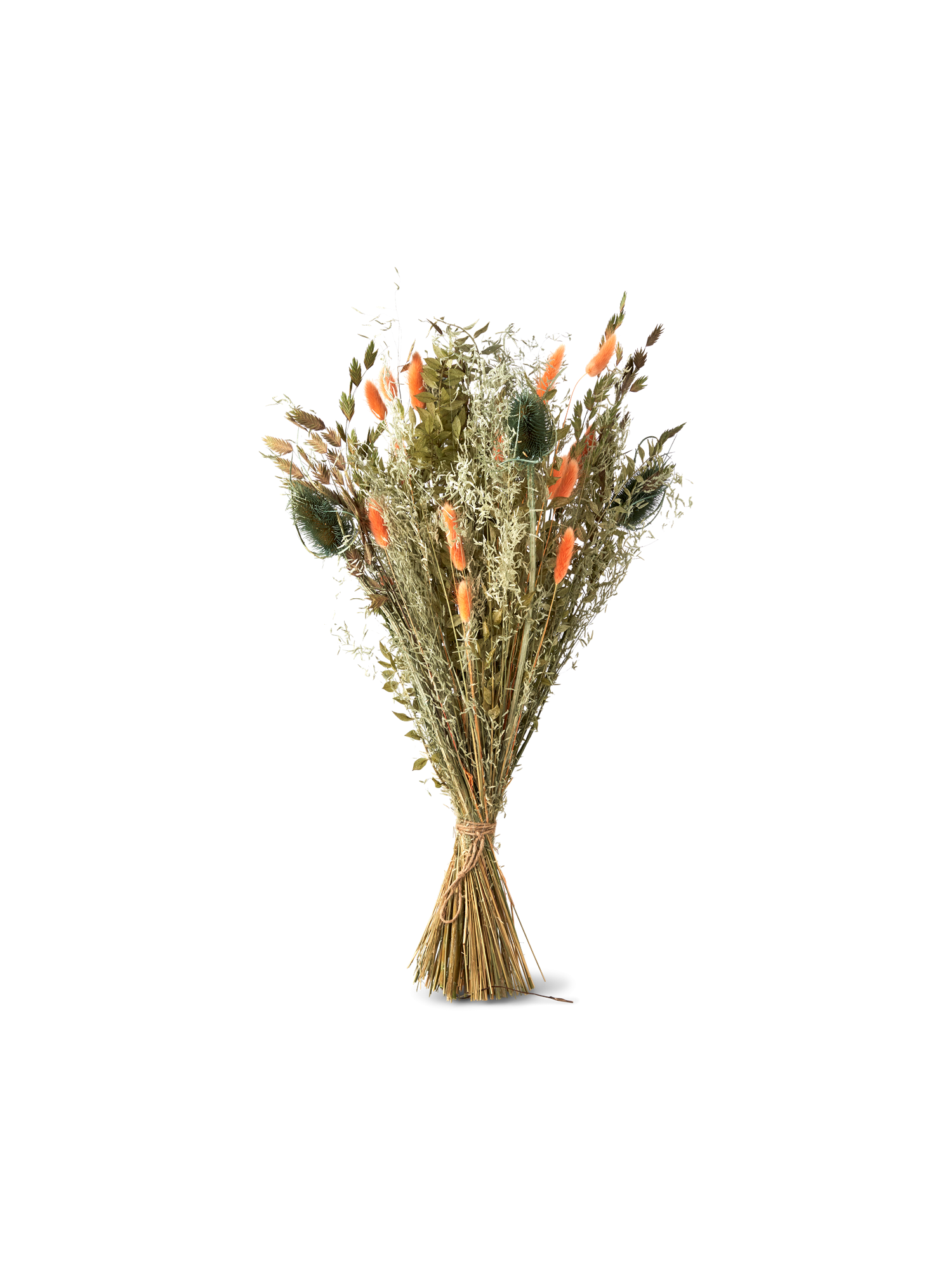 Tørrede blomster Orange medium | Burned Orange | Mots More