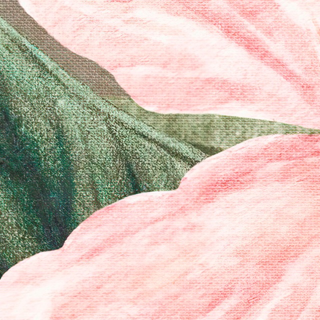 Komar Fototapete »Digitaldruck Vlies -  Large Bloomed - Grösse 200 x 250 cm« bedruckt glatt Wohnzimmer, Schlafzimmer