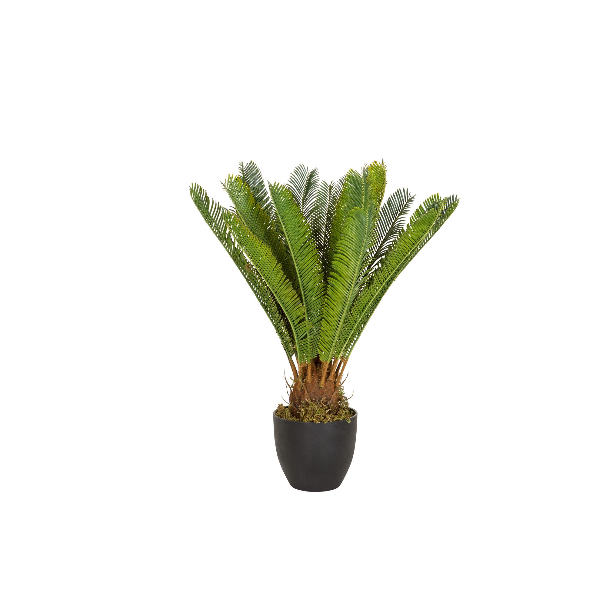 Kunstpflanze CYCAS Kunststoff, Stoff hjh OFFICE