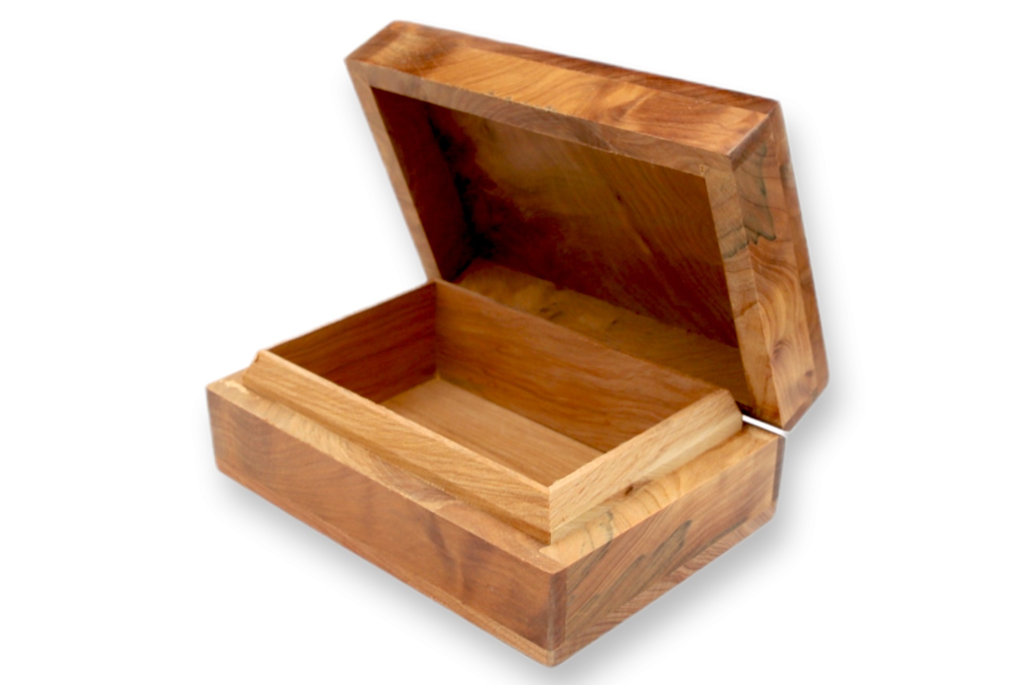 Thuja Box, B 12 cm, L 8,5 cm, H 5,5 cm von fischer's lagerhaus