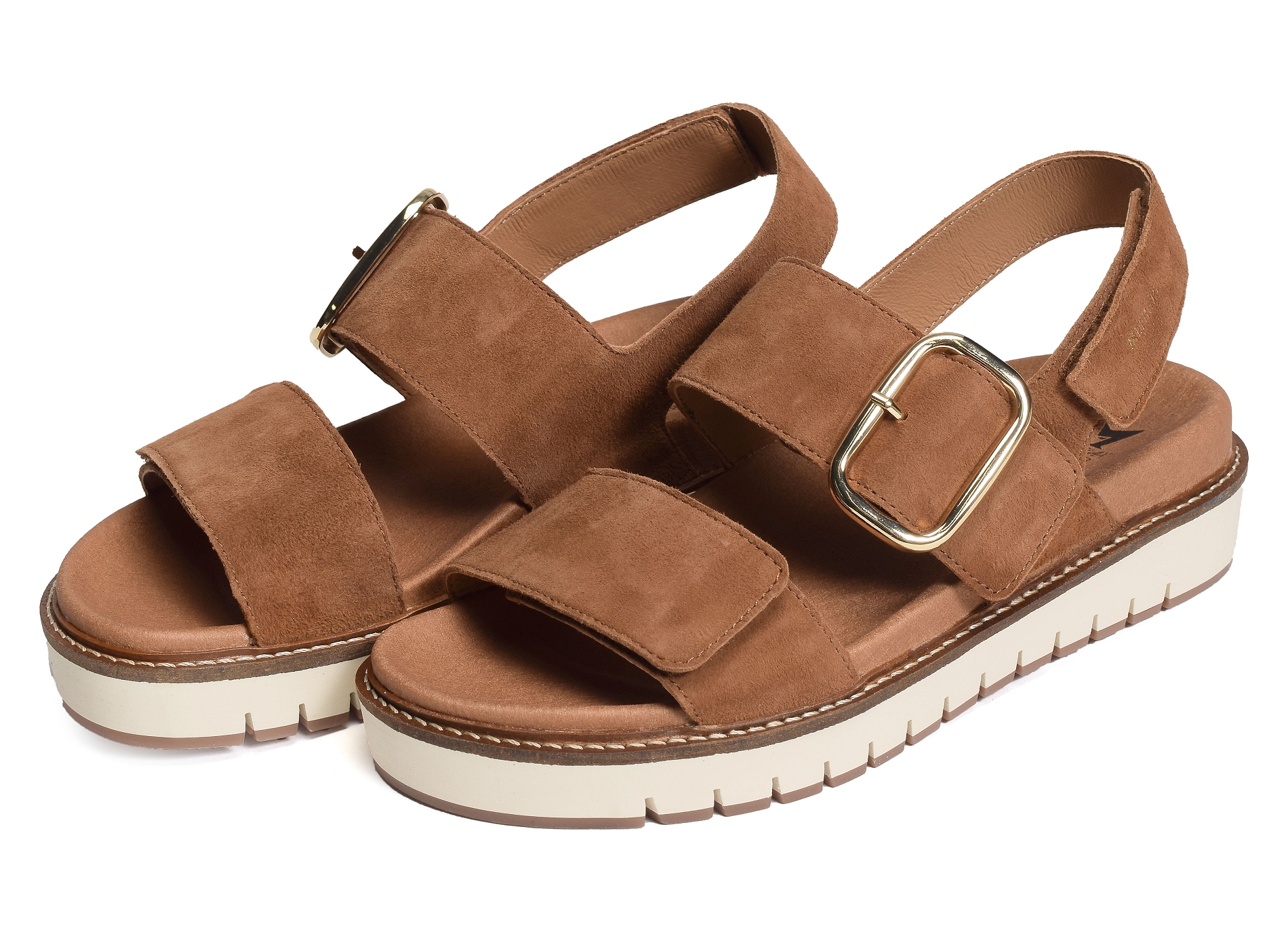 Belona camel
