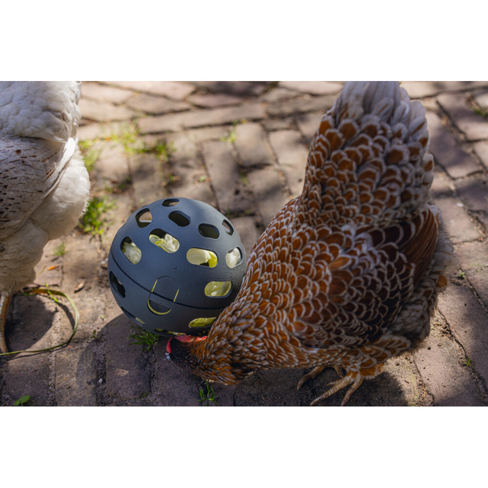 Beeztees Snackbal voor Kippen Grijs15 cm