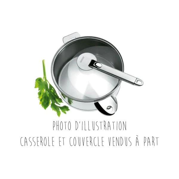 Manche Cristel Zénith 18 cm Inox Cristel