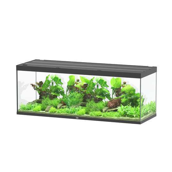 Aquarium Sublime Led 2.0 Pro Noir L.200x P.70x H.75cm
