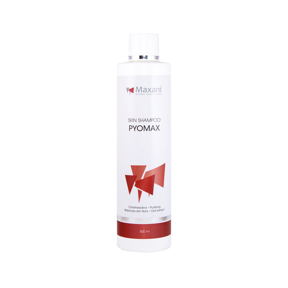Maxani PyoMax Skin Shampoo