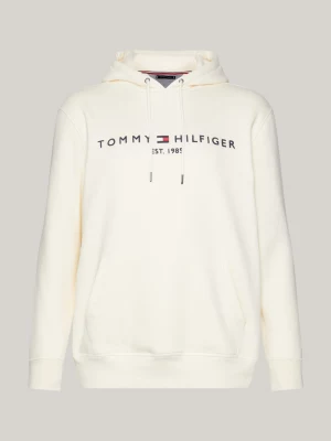 Moletom com capuz Plus Logo de corte regular