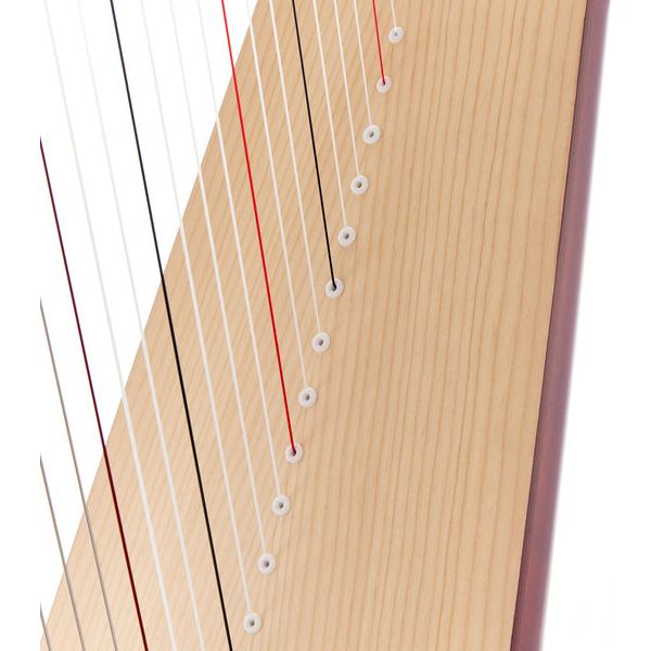 Salvi SALTIT-MSS Titan Mahogany