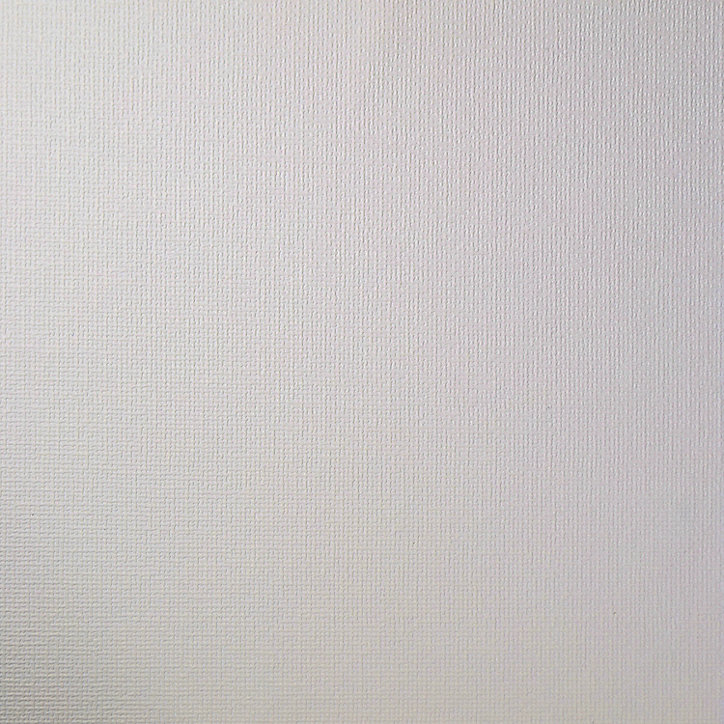 Papier peint vinyle sur intissé Palmeri GoodHome blanc