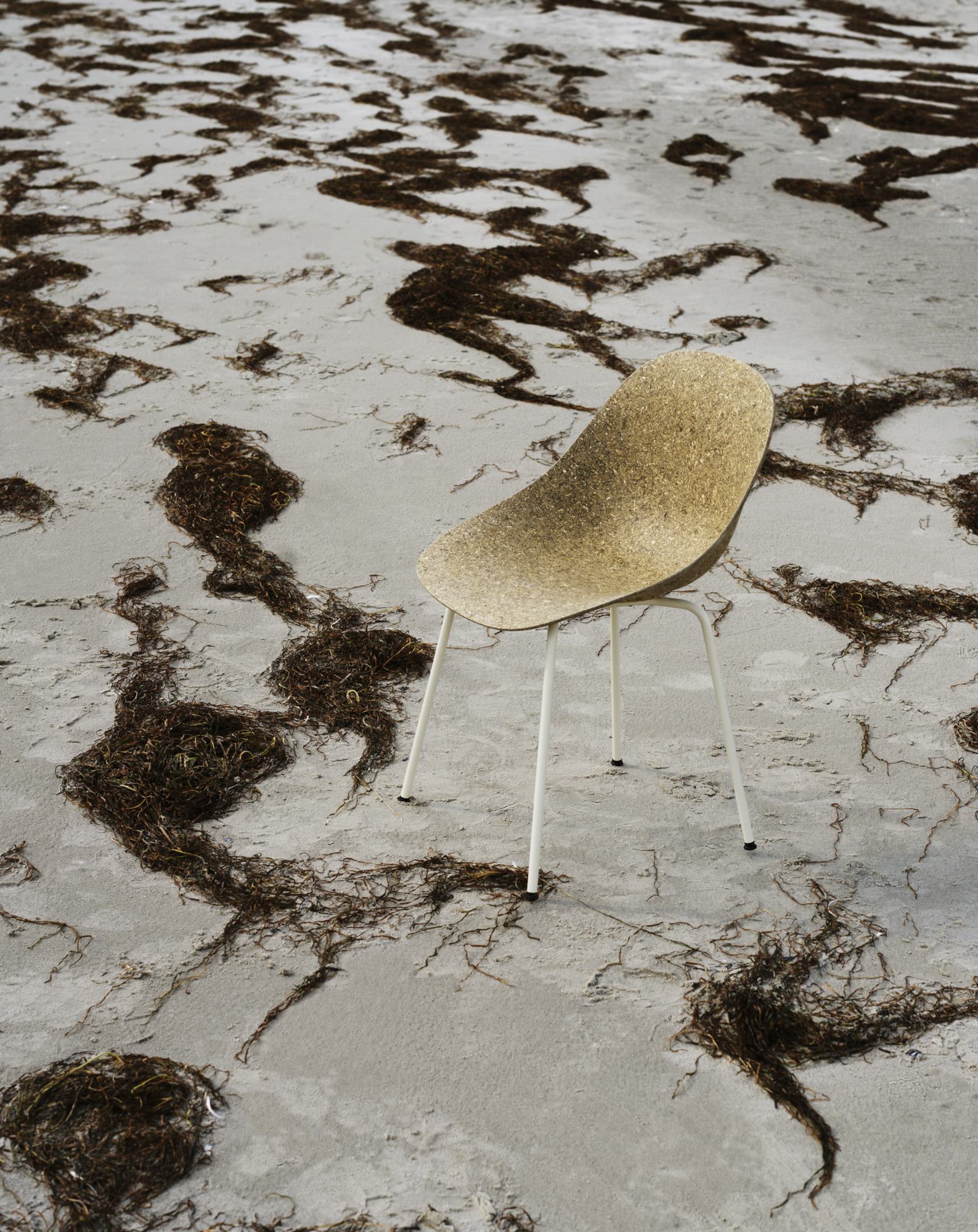Eetkamerstoel Mat Seaweed cream steel