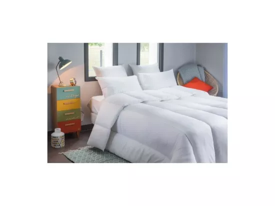 BLANREVE Couette tres chaude Percale - Anti-acariens - 420g/m2 - 220x240cm