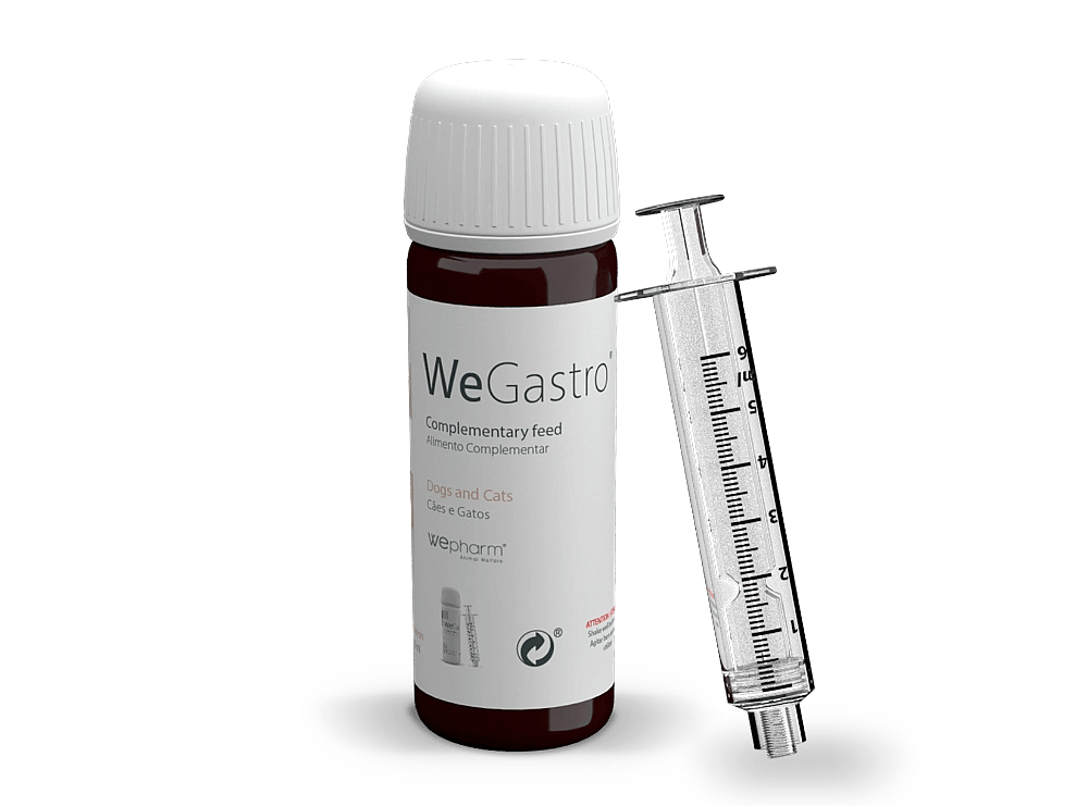Wepharm Wegastro Hond Kat 60 ml | 13067