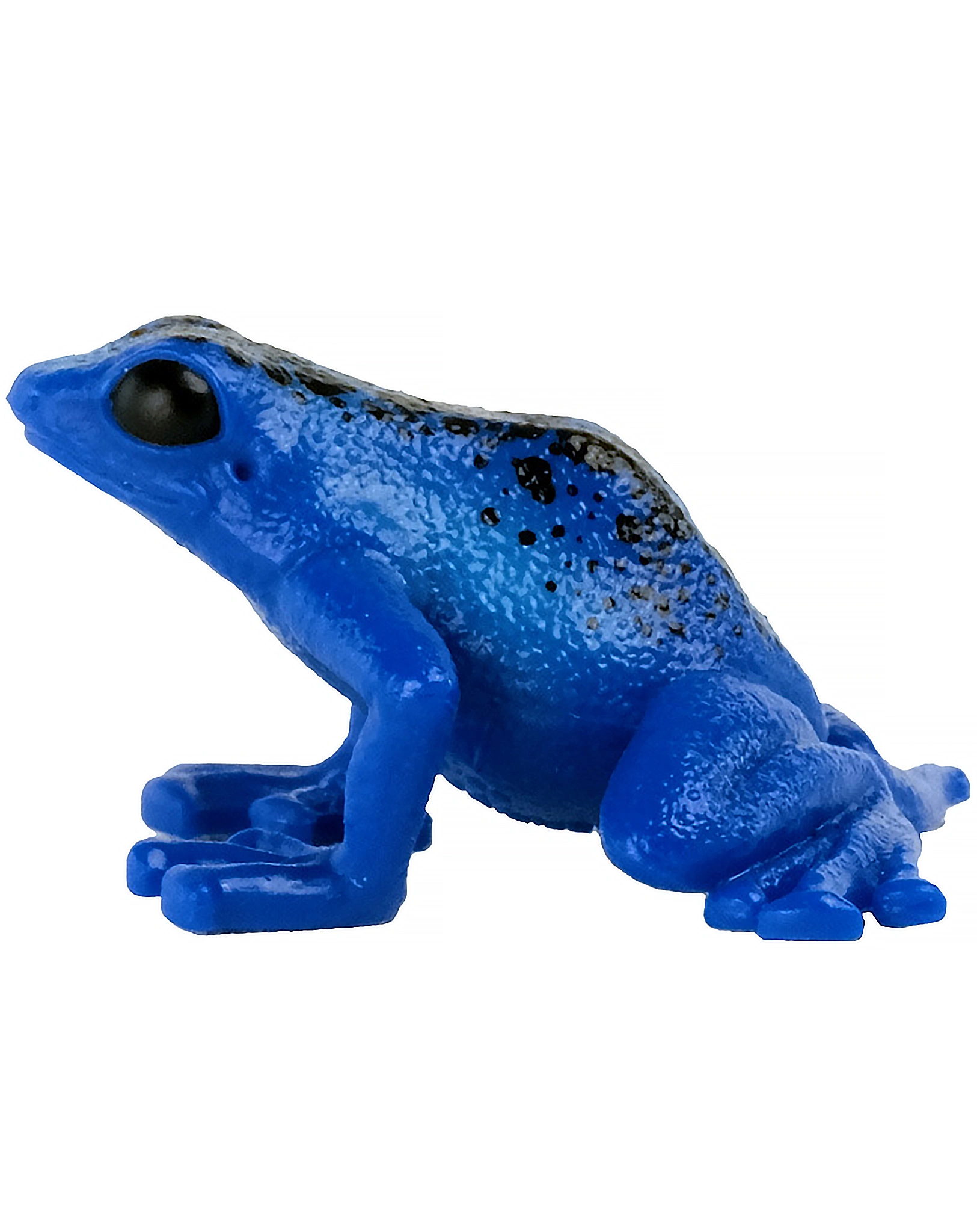 schleich® 14864 Wild Life - blauer Pfeilgiftfrosch