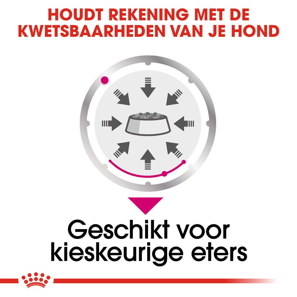 Royal Canin Exigent Wet - Hondenvoer