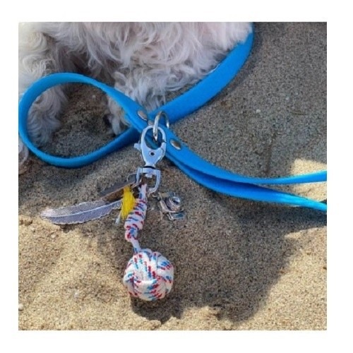 Coleira para cachorro da sorte Groc Groc, cor azul.
