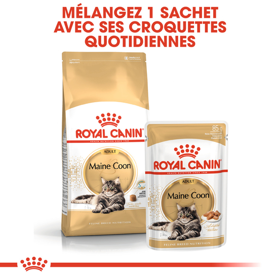 Croquettes chat Maine Coon Adulte à partir de 15 mois 4kg