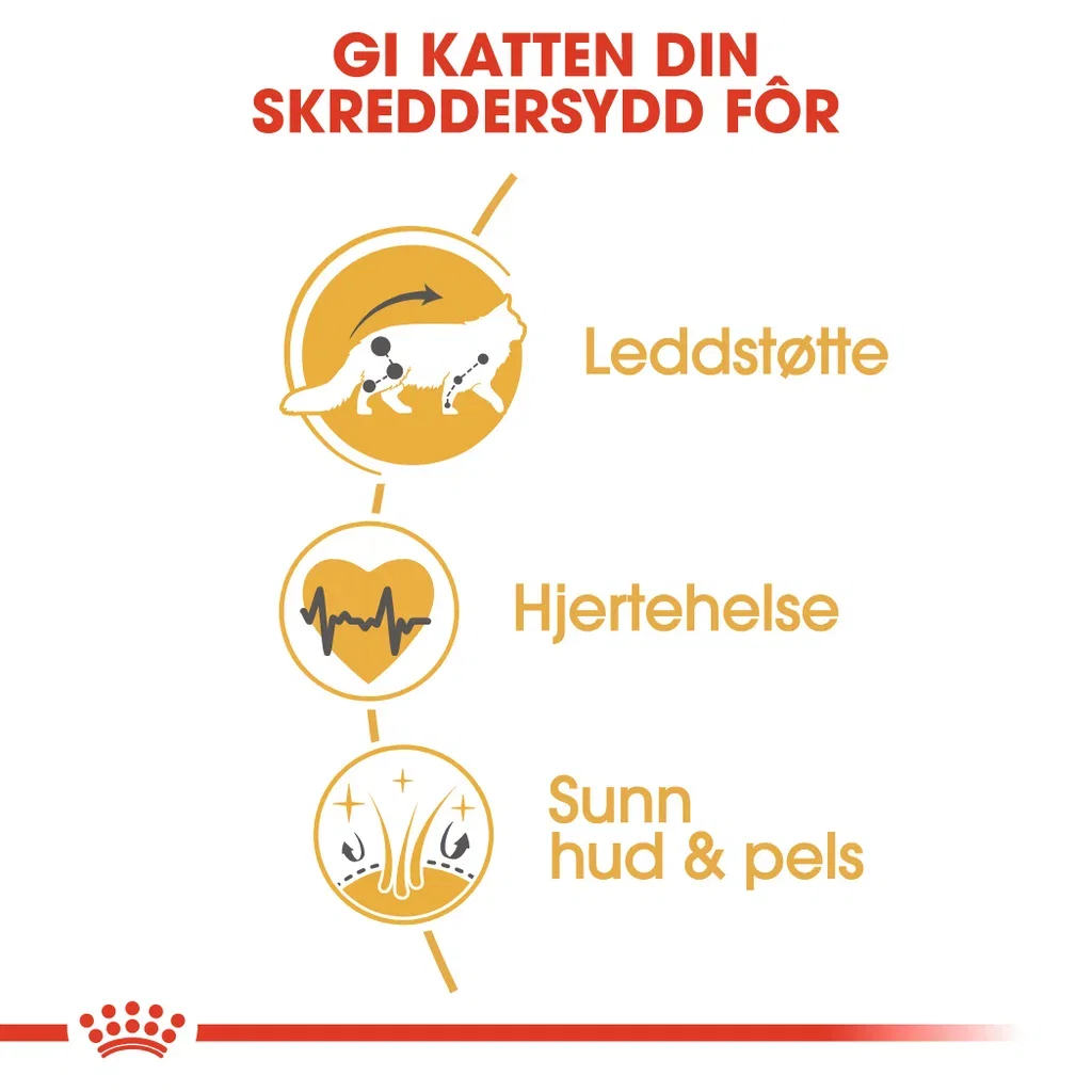 Royal Canin Royal Canin Maine coon Adult 2 kg