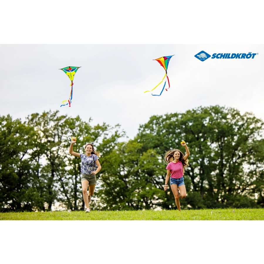 SCHILDKRÖT® Classic Kite 70 “Crazy bird”