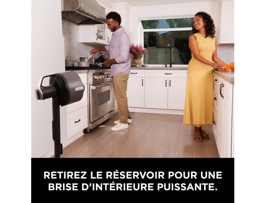 SHARK - Ventilateur et brumisateur FlexBreeze Pro Mist FA300EU