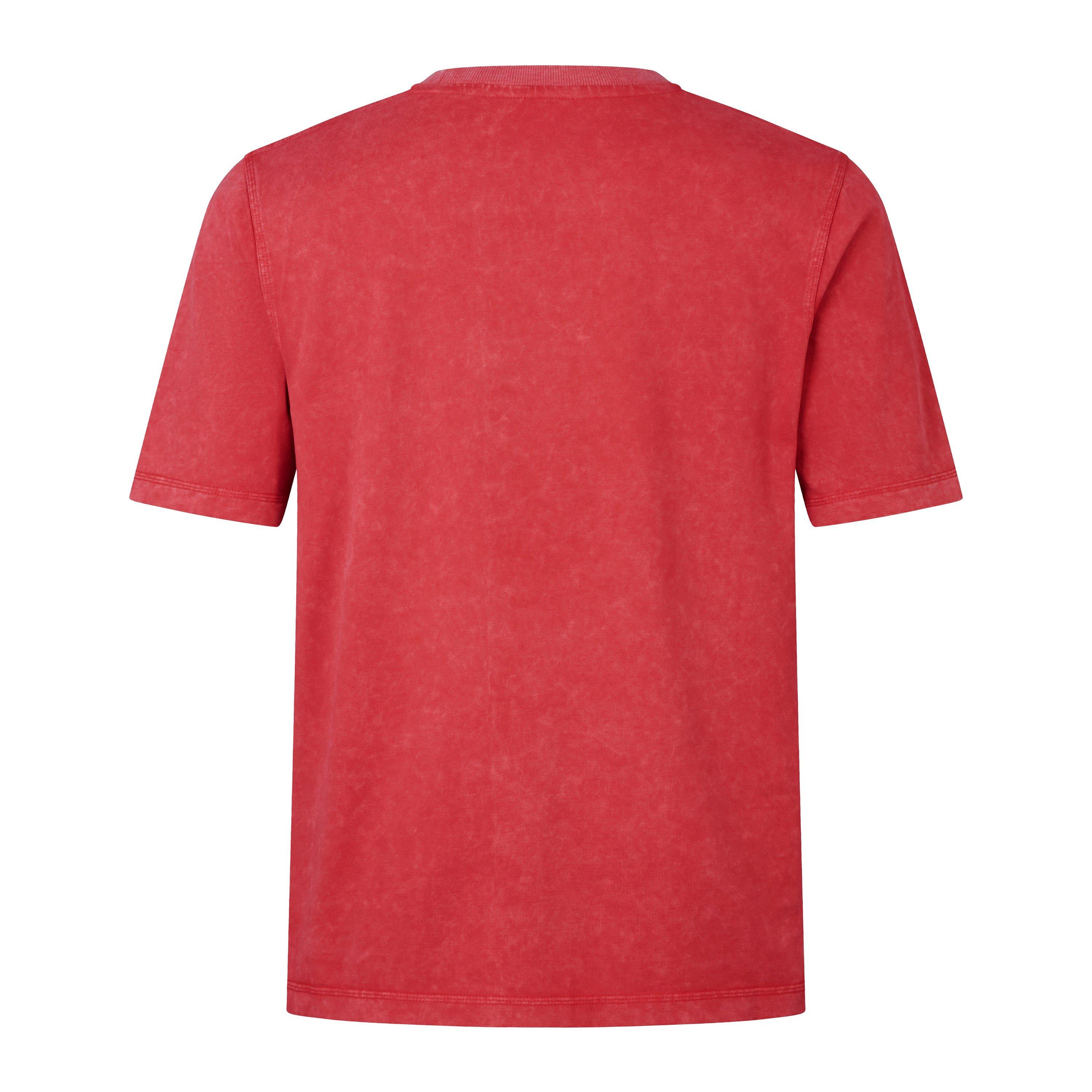 Canterbury British And Irish Lions Heritage T Shirt 2025 Mens