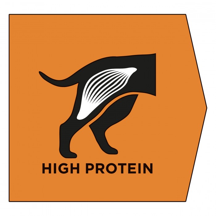 Proplan Veterinary Diets OM Obesity Management