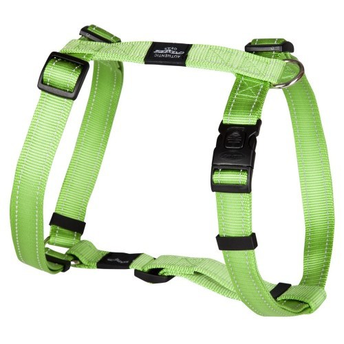 Coleira para cães Lumberjack em nylon refletivo, verde limão