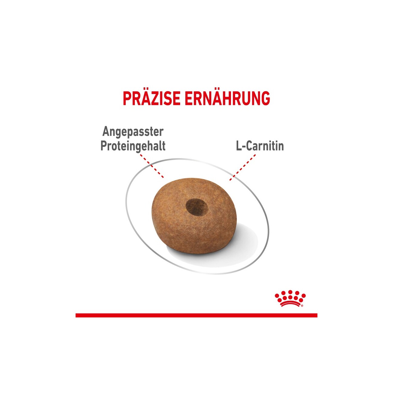 ROYAL CANIN Light Weight Care Medium 3 kg