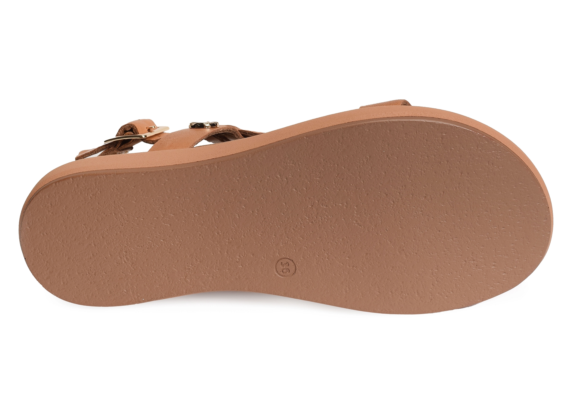 A96019 camel