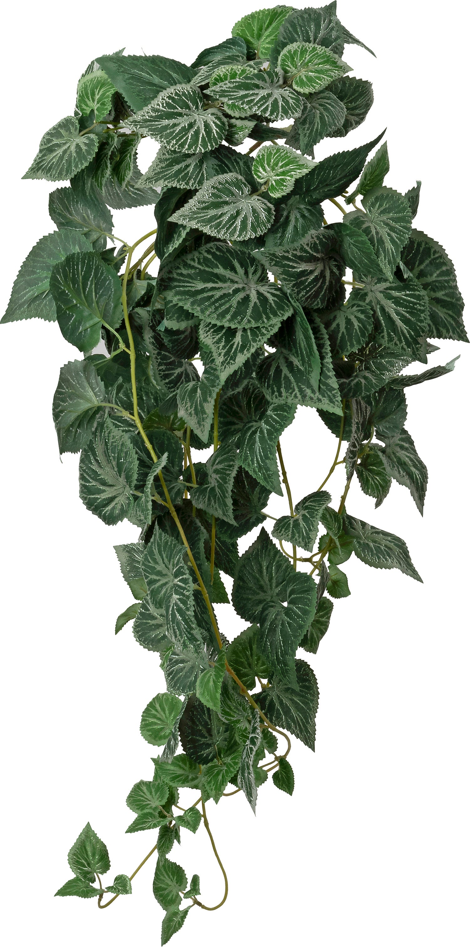 Intratuin kunsthangplant Bladbegonia groen 15 x 30 x 90 cm