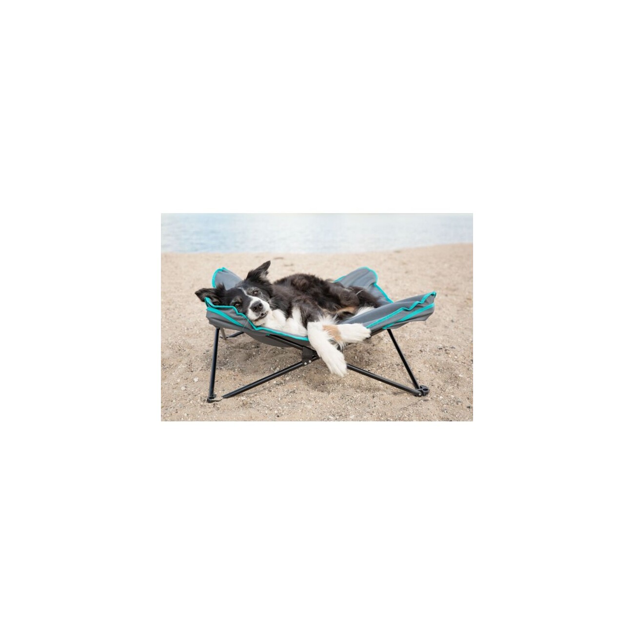 Trixie Camping-Bett für Hunde 69 cm, 69 cm, 20 cm