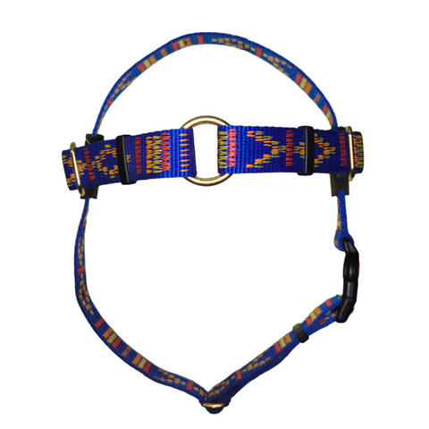 Arreios indianos azuis