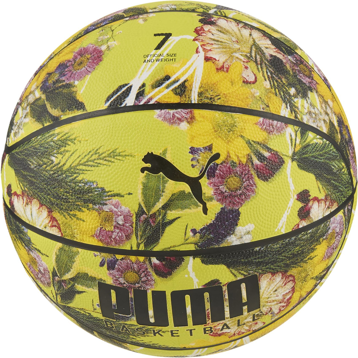 Puma Basketball