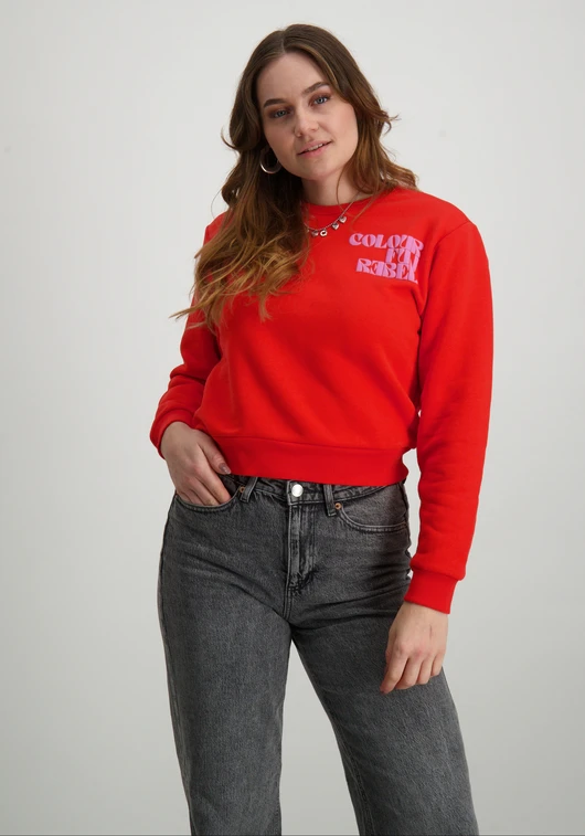 Colourful Rebel Sweater Puff logo WS416206