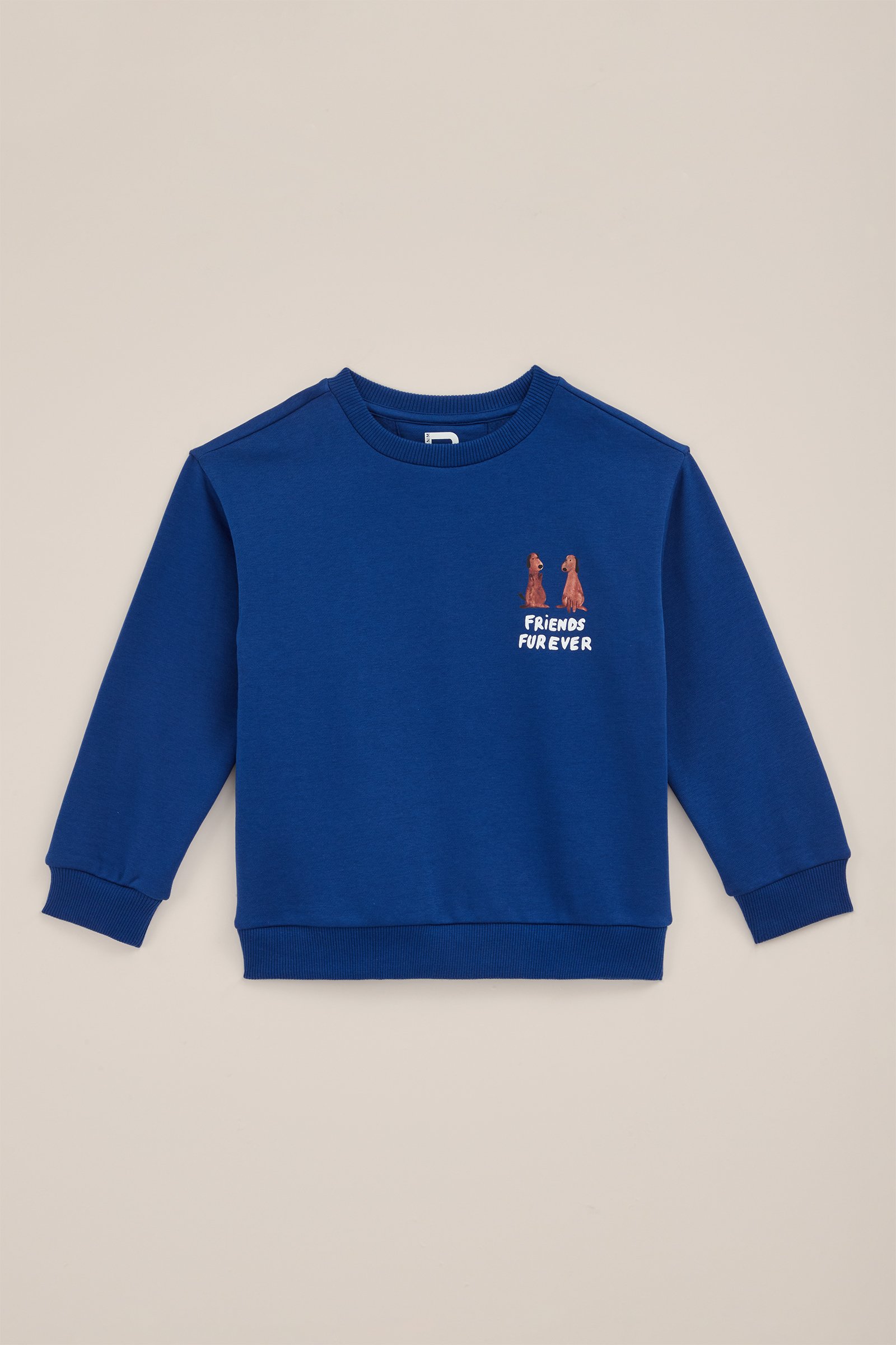 Jongens sweater met opdruk WE Fashion Kobaltblauw