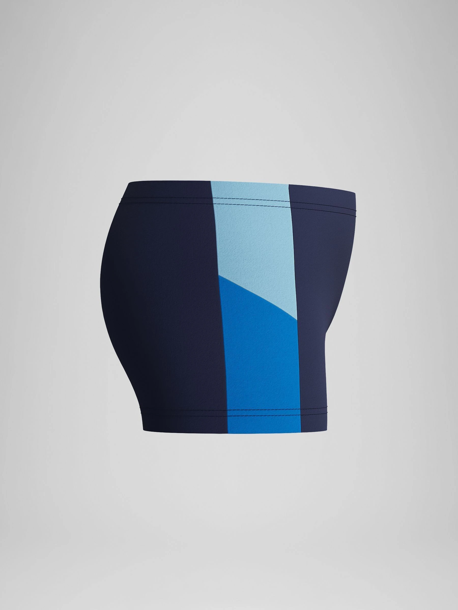 Speedo Dive Aqua Swim Shorts