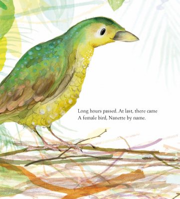 The Bowerbird: Signed Bookplate Edition (Hardback)
