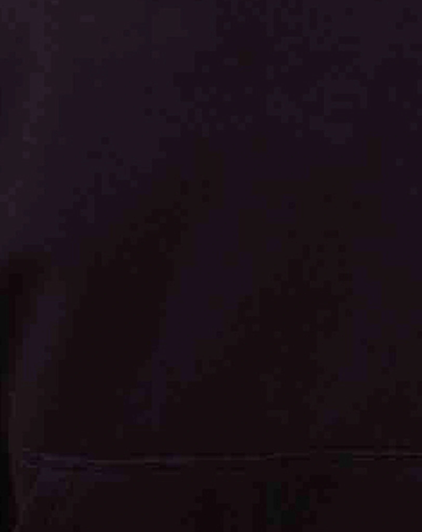 Kapuzenpullover LIVIO in schwarz/braun