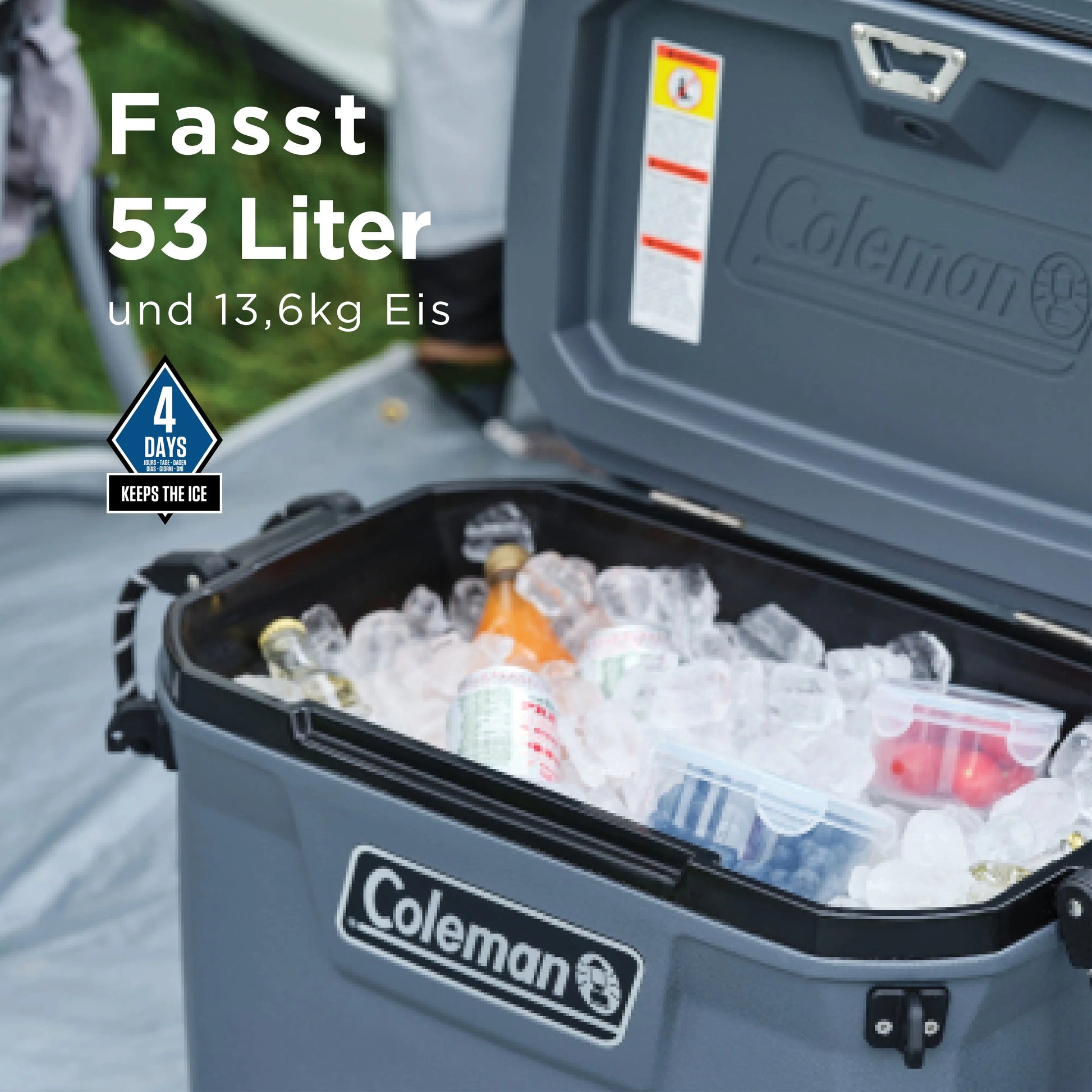 Coleman Convoy 55 QT Kühlbox