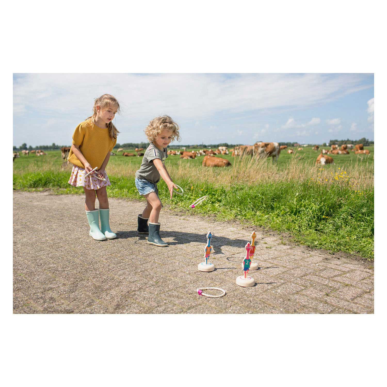 BS Toys Ringwerpen Vogels Hout- Werpspel