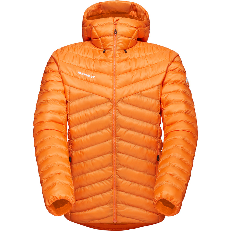 Mammut Herren Albula In Hoodie Jacke