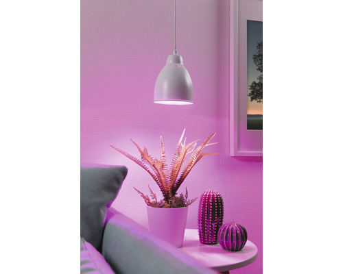 Plantenlamp, 1-lamp, HxØ 180x14,5 cm, wit