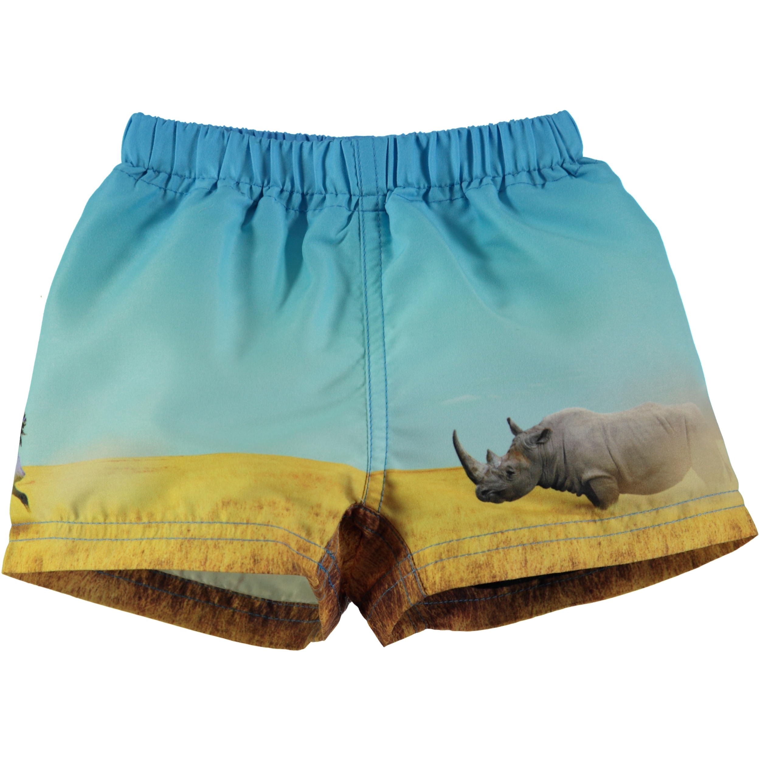 Newton - Rhino