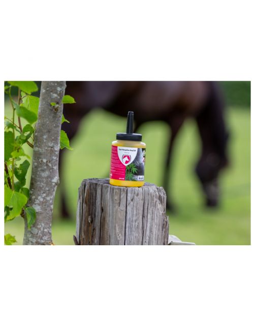 Excellent Equi Hempone Hoef Olie Natural Met Borstel - Hoefverzorging - 500 ml Met Borstel
