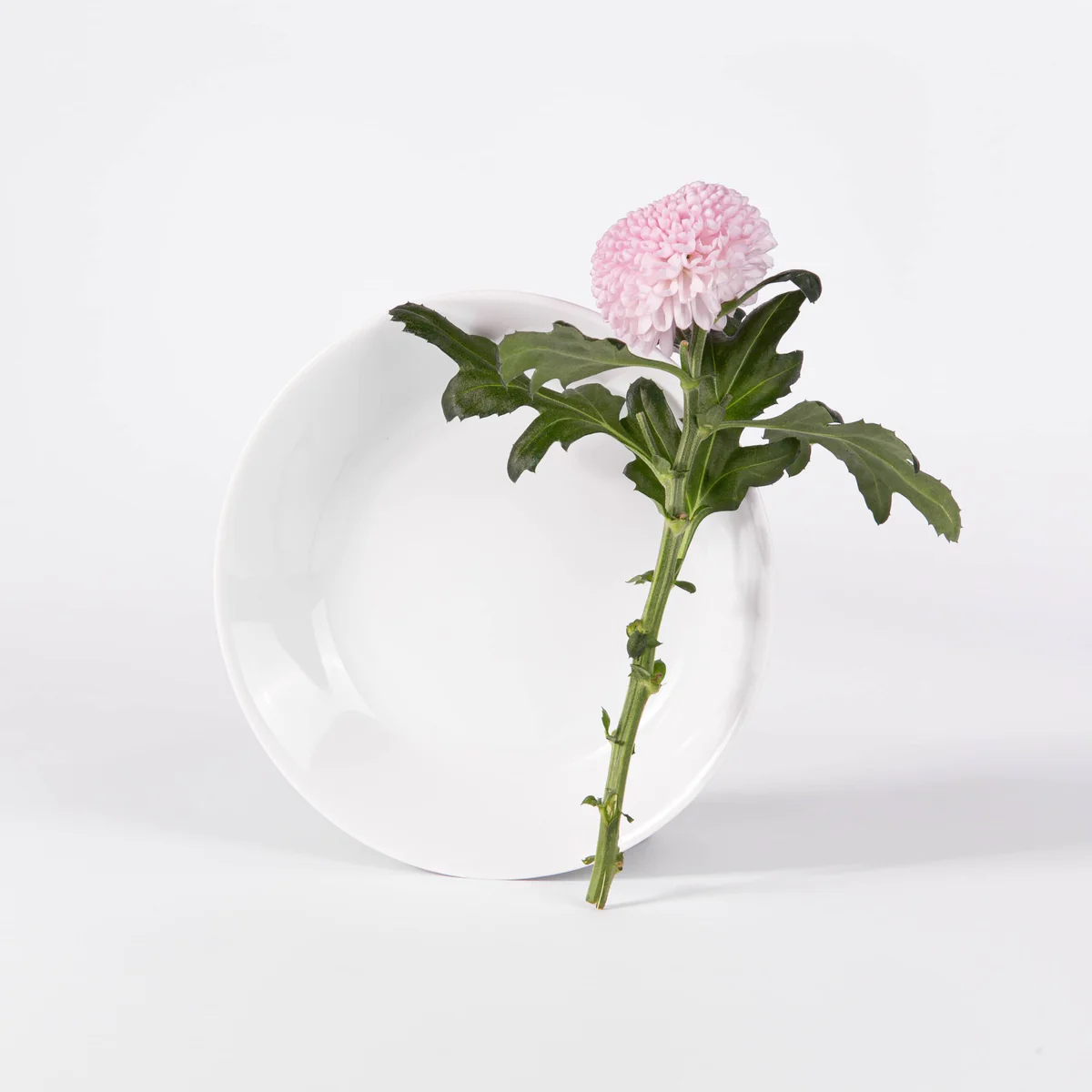 Assiette creuse ronde 19 cm blanche OGRE La Fabrique