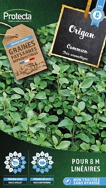 Graine d'origan commun aromatique Protecta