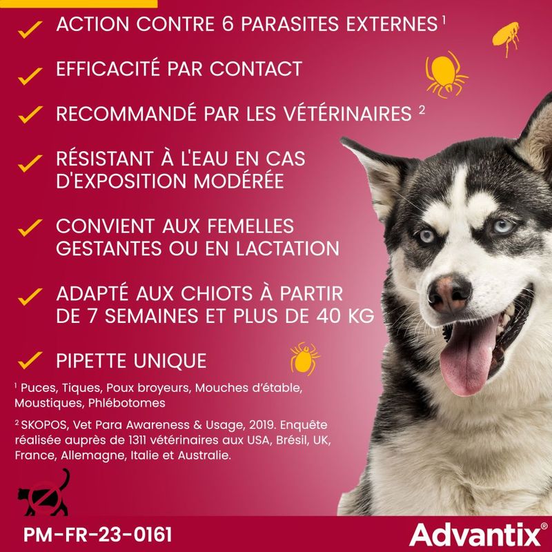 Advantix très grand chien, de 40 kg à 60 kg